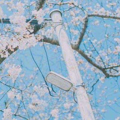 铁血帝国九游账号版下载