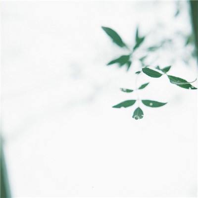 源计划多酷版下载